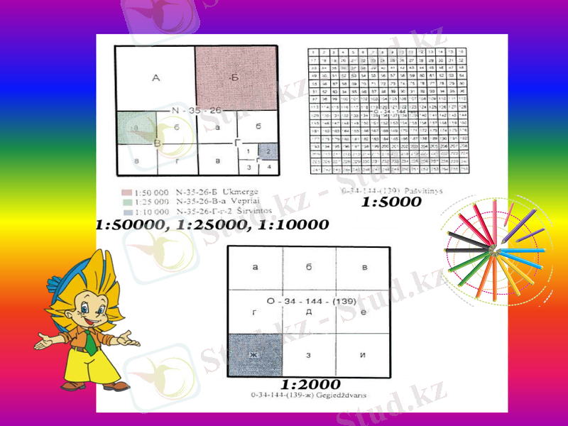 Slide 11