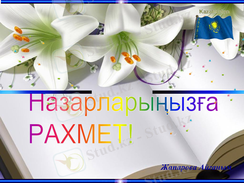 Slide 13