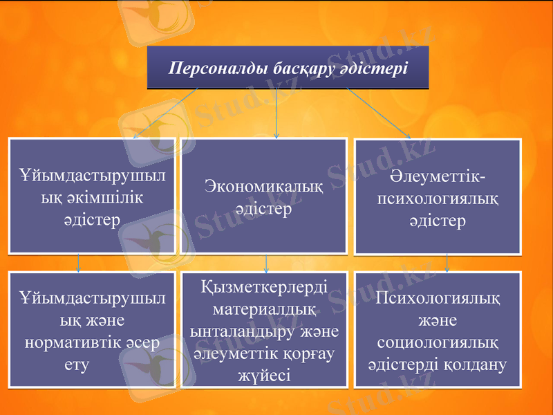 Slide 8