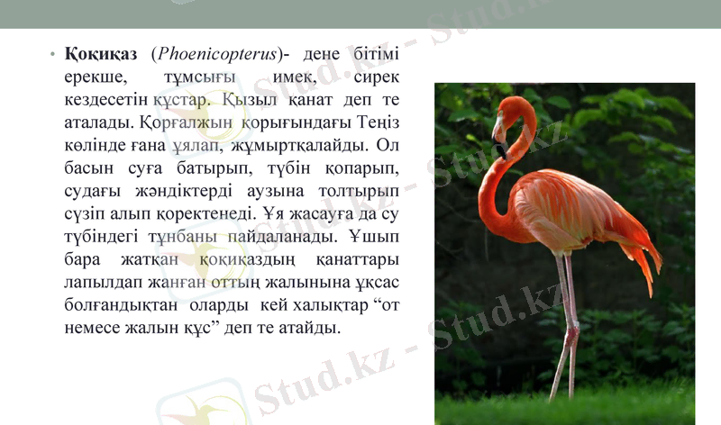 Slide 11