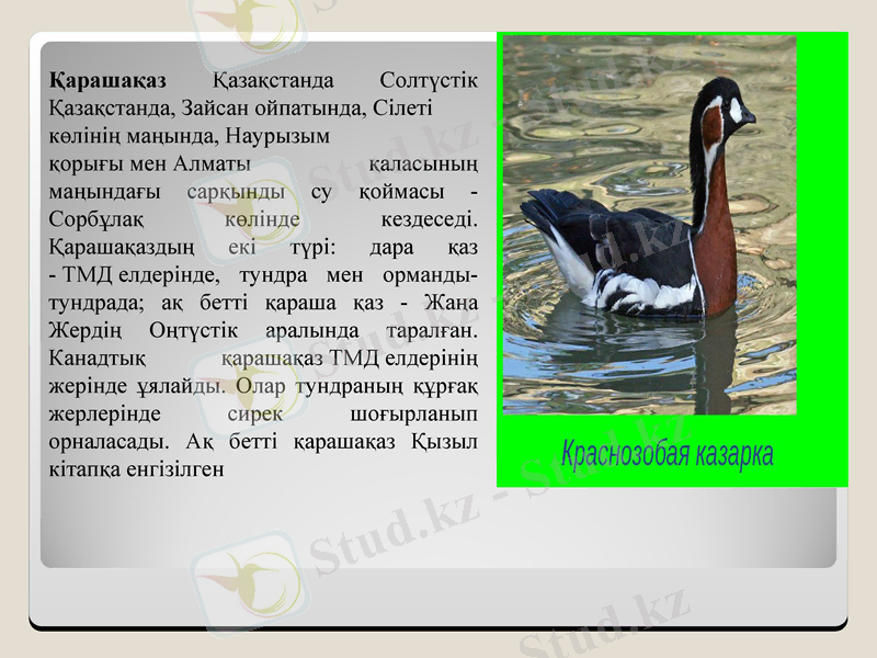 Slide 14