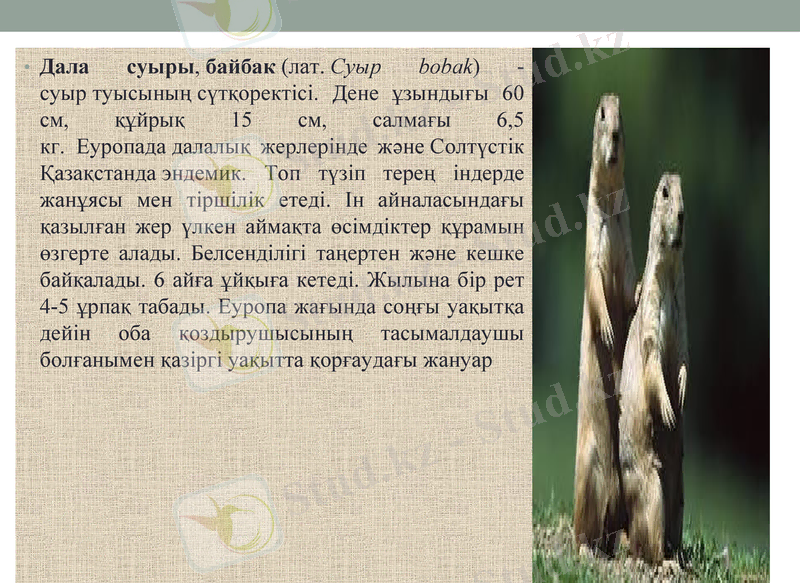 Slide 16