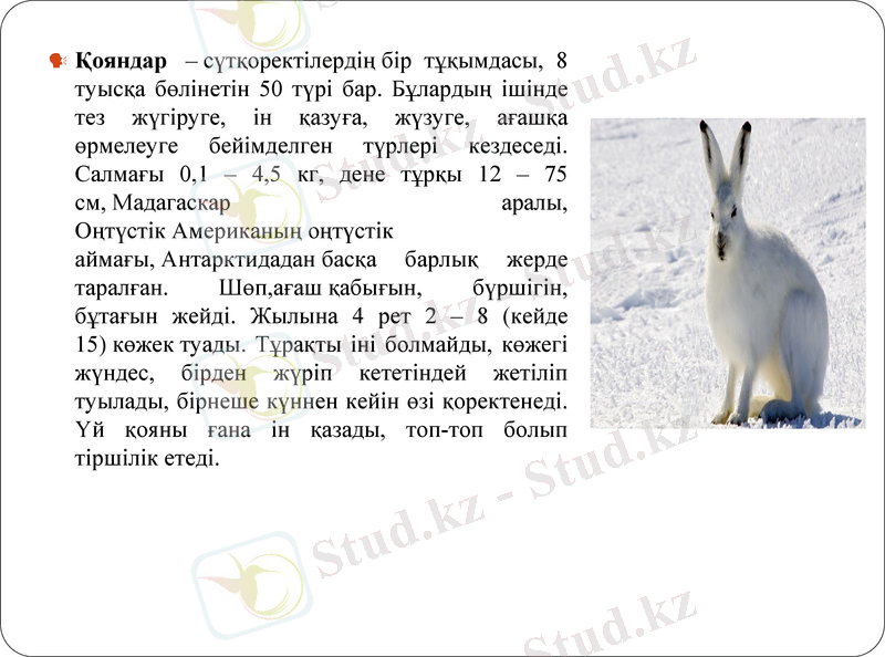 Slide 17
