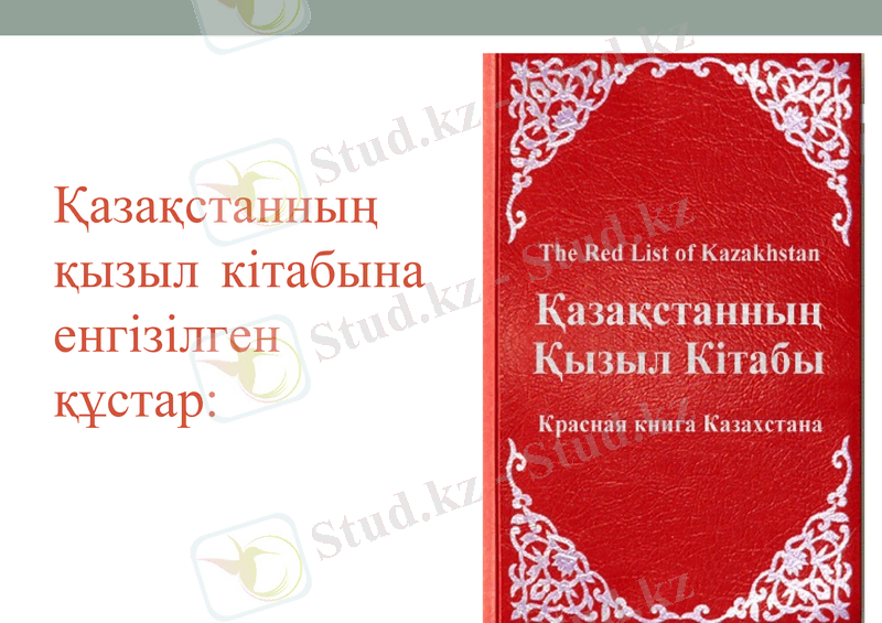 Slide 7