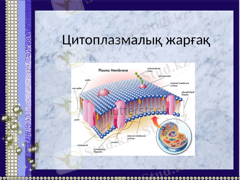 Slide 1