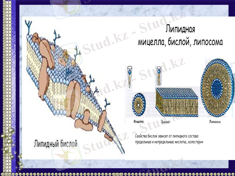 Slide 10