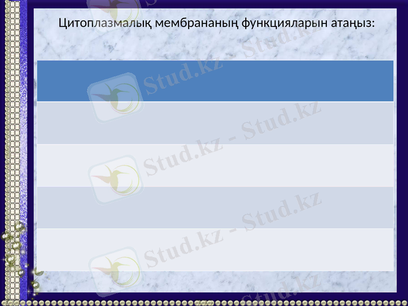 Slide 12