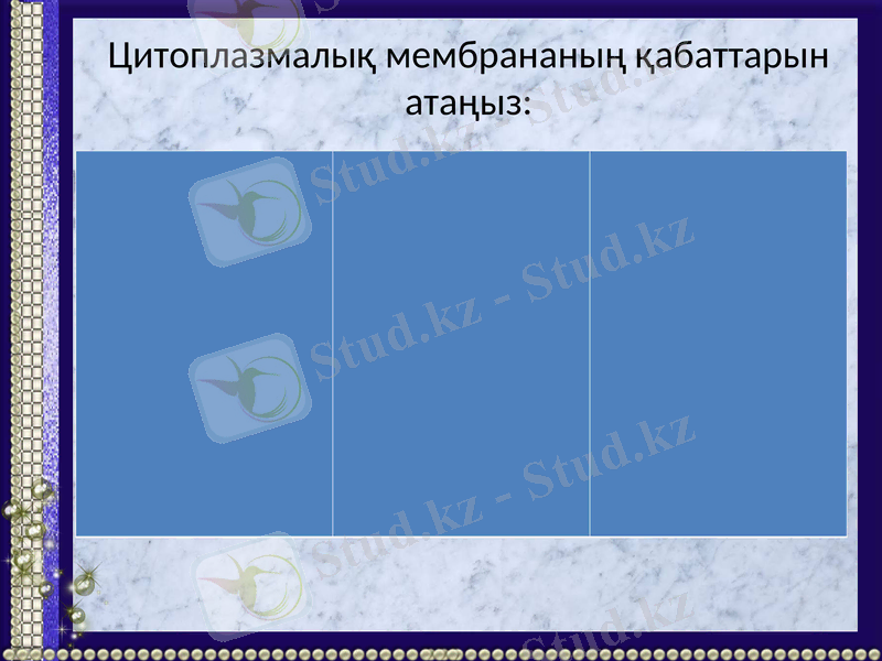 Slide 13