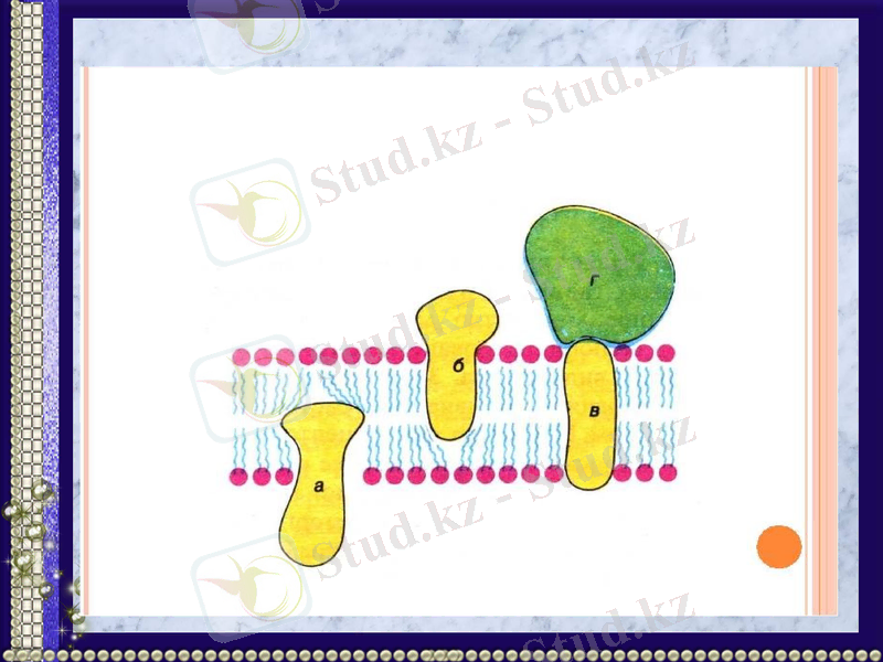 Slide 16