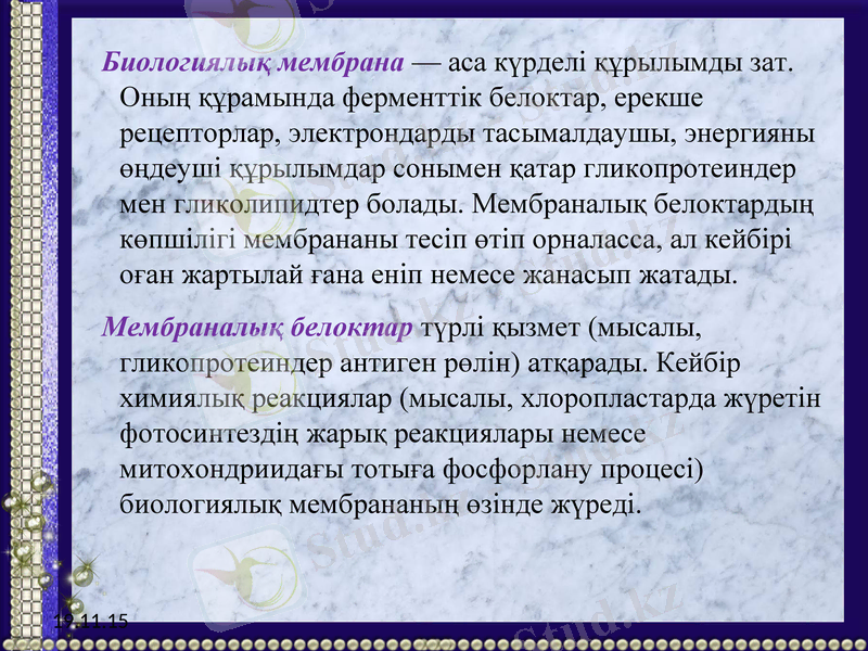 Slide 17