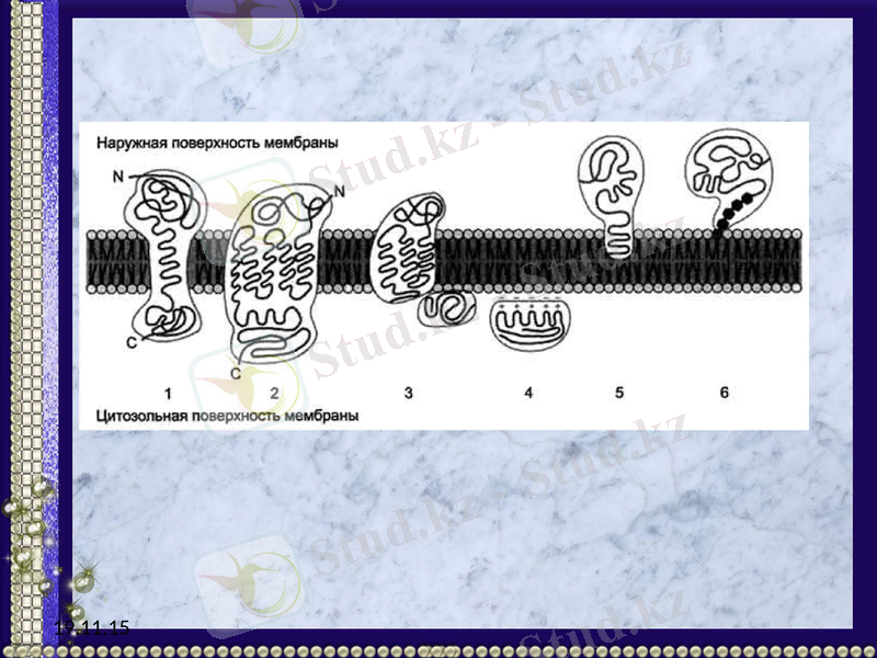 Slide 18