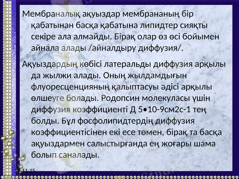 Slide 19