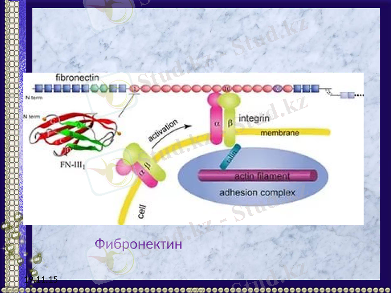 Slide 22