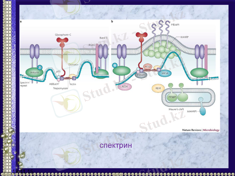 Slide 23