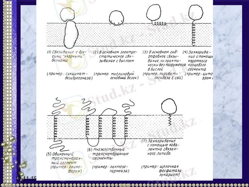 Slide 25