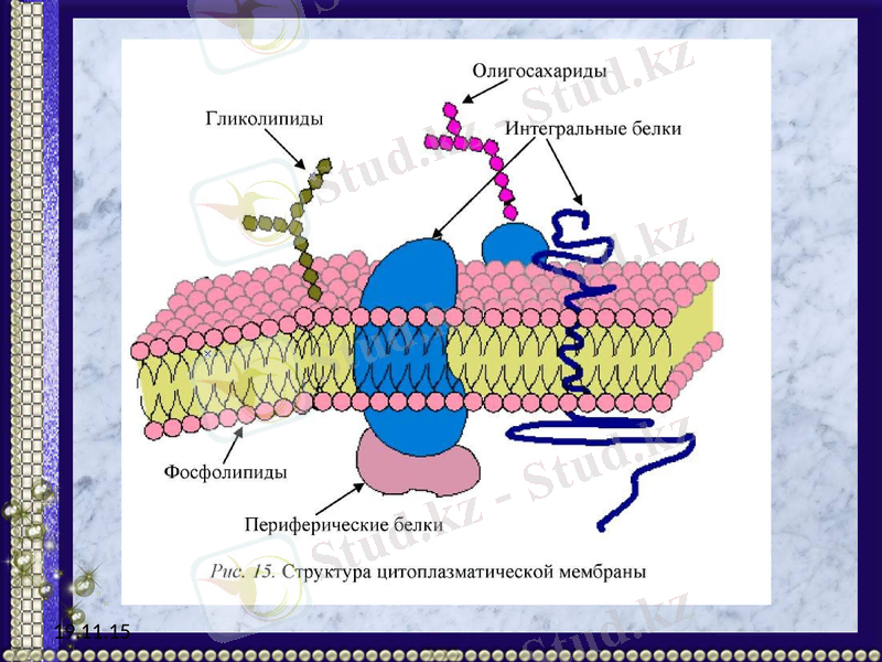 Slide 27