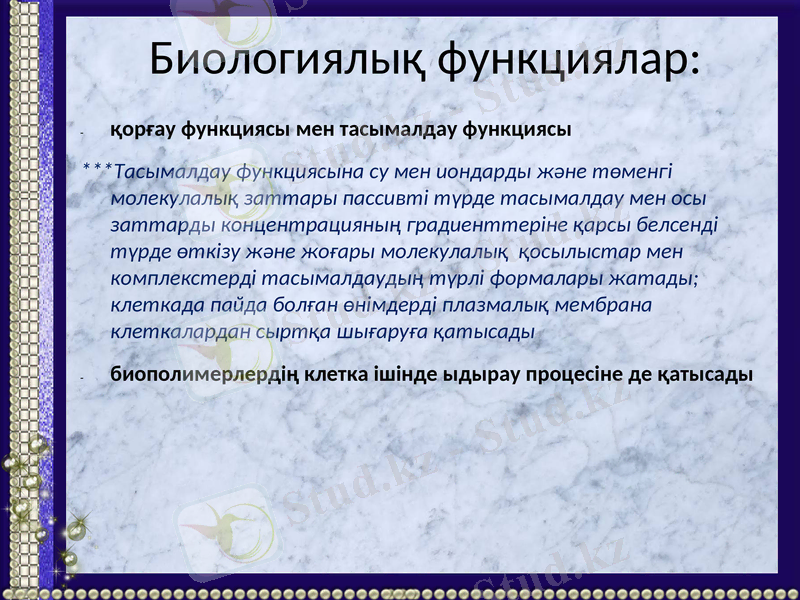 Slide 7