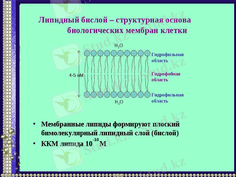 Slide 9