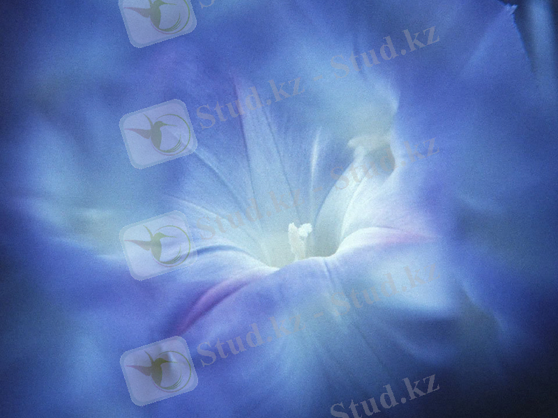 Slide 18