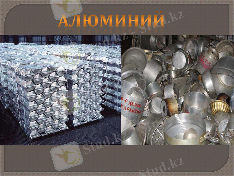 Slide 13