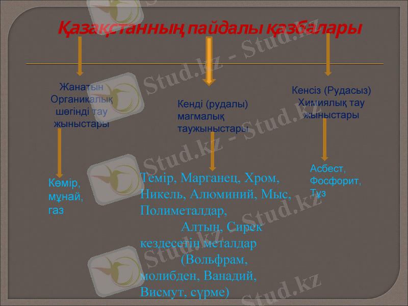 Slide 7