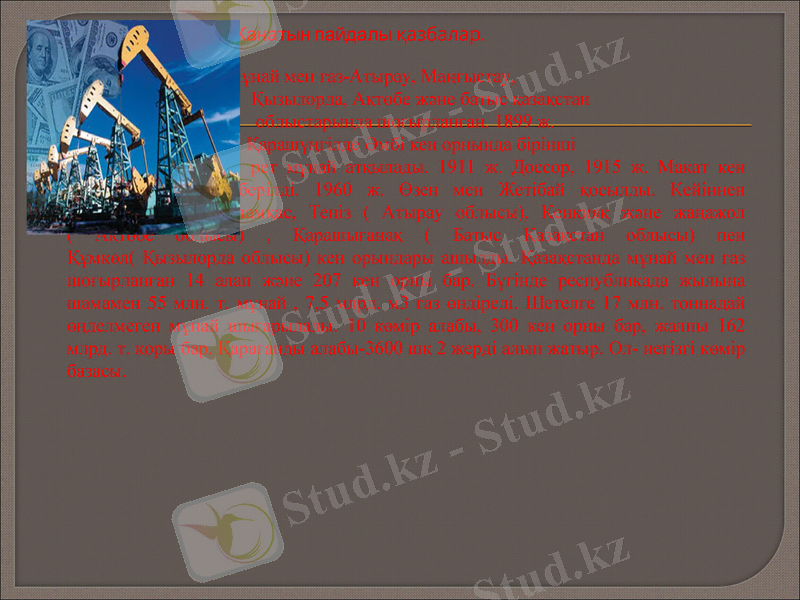 Slide 8