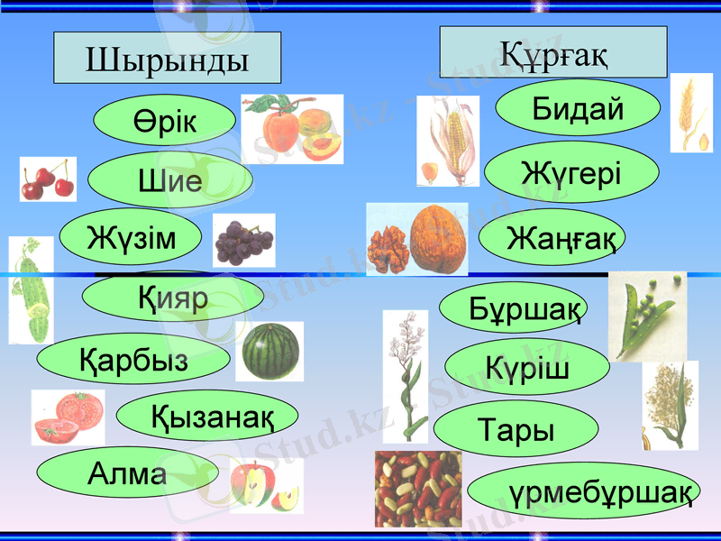 Slide 10