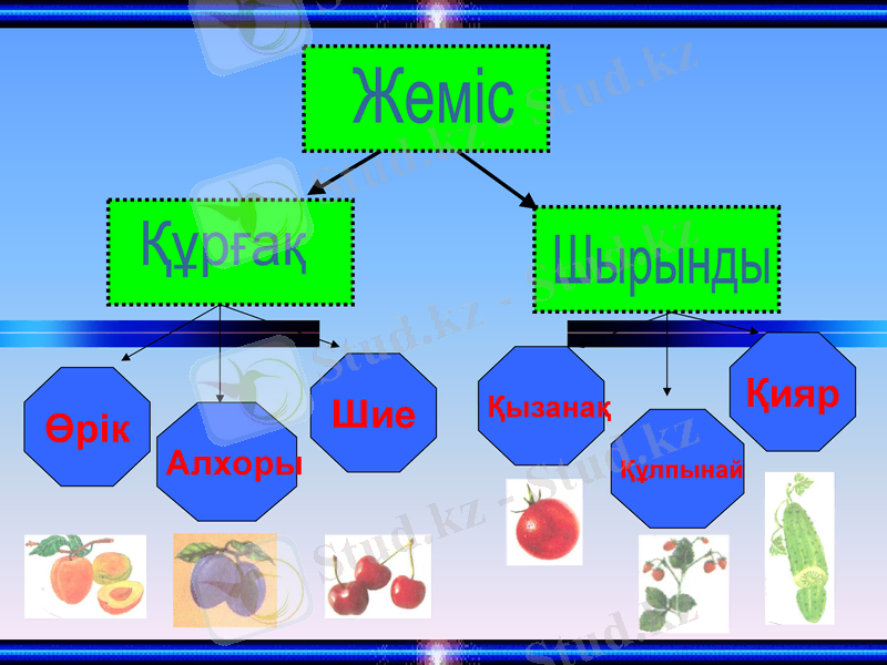 Slide 11