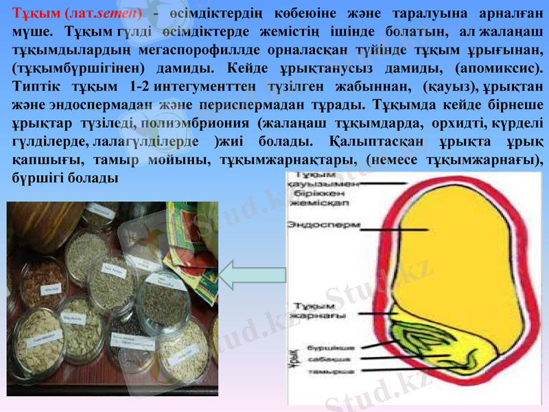Slide 12