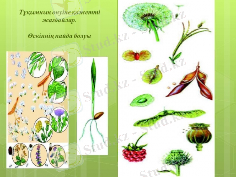 Slide 13