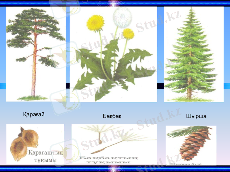 Slide 14