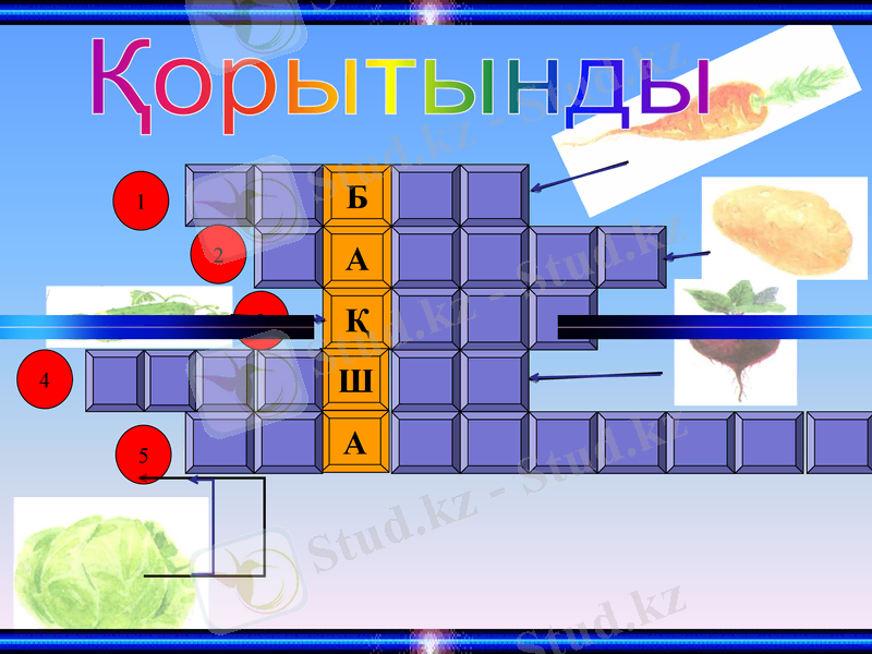 Slide 16