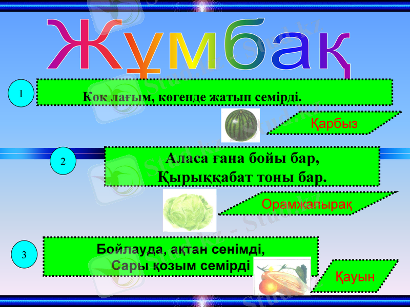 Slide 17