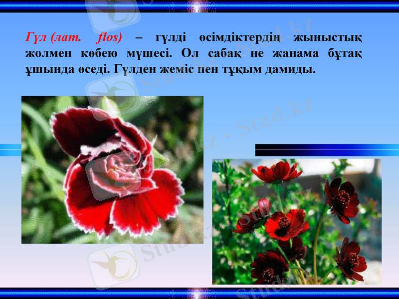 Slide 2