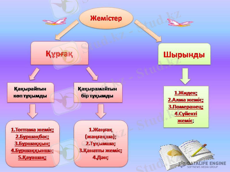Slide 8