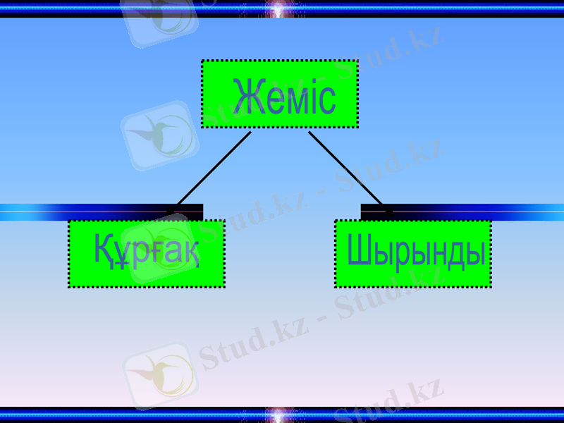 Slide 9