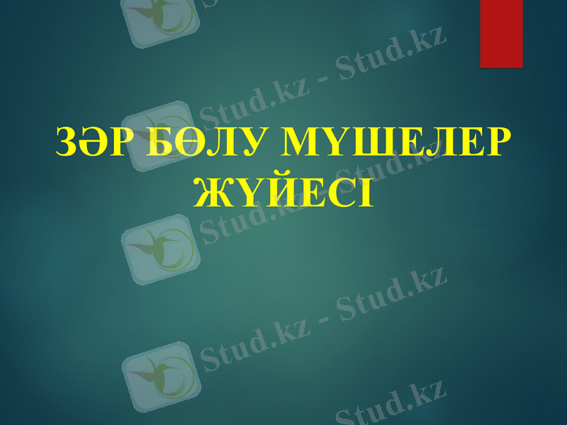 Slide 1
