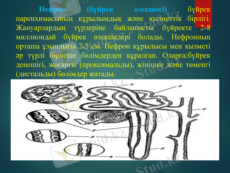 Slide 10