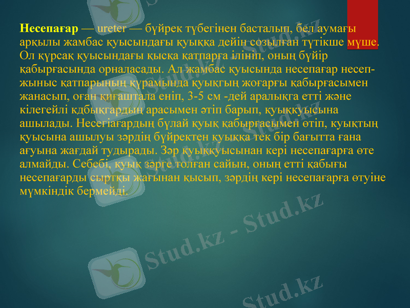Slide 11