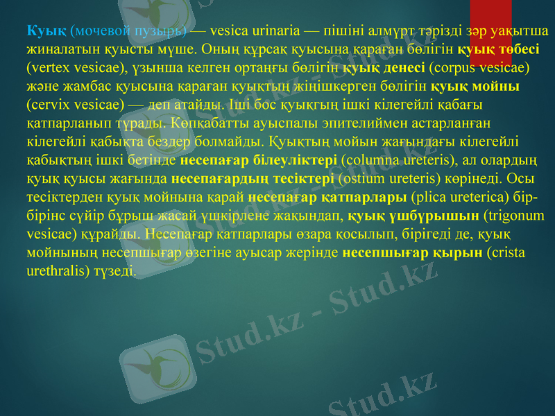 Slide 13