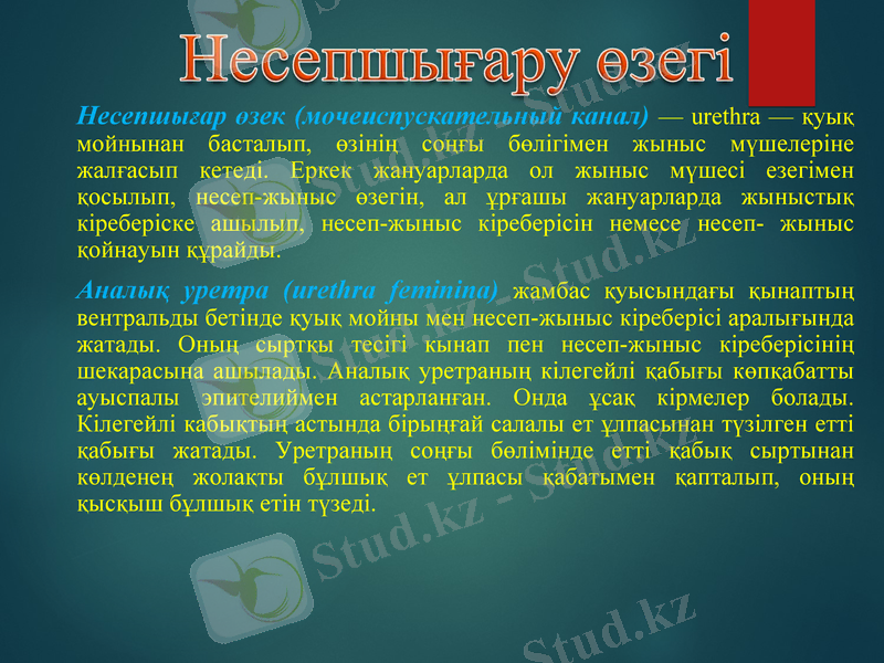 Slide 15