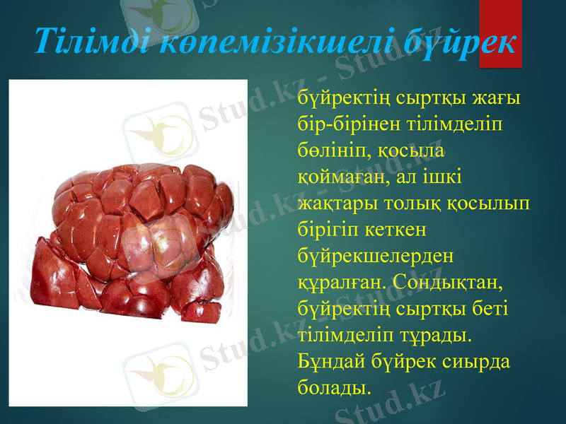Slide 6
