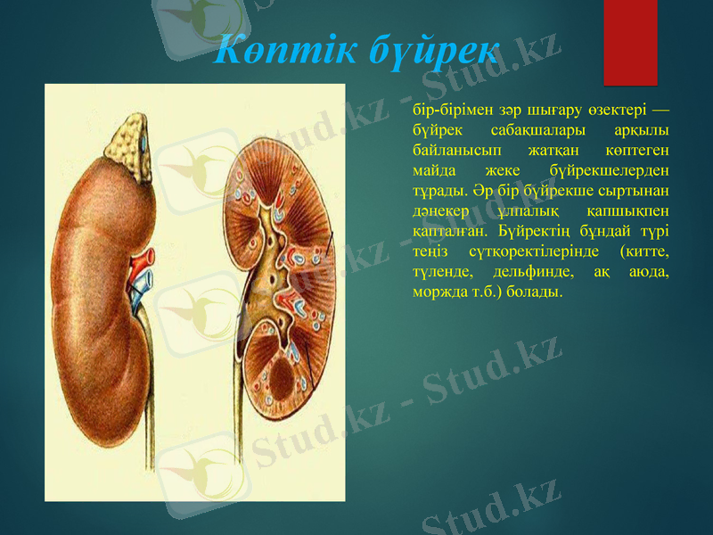 Slide 7
