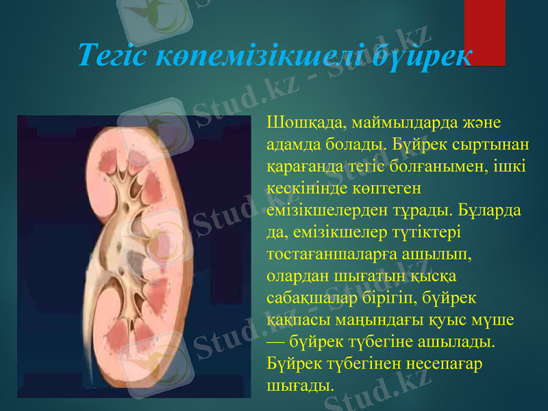Slide 8