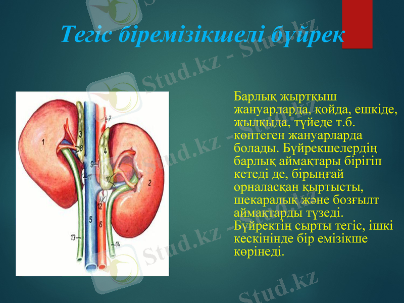 Slide 9
