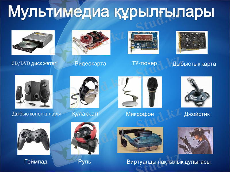 Slide 13
