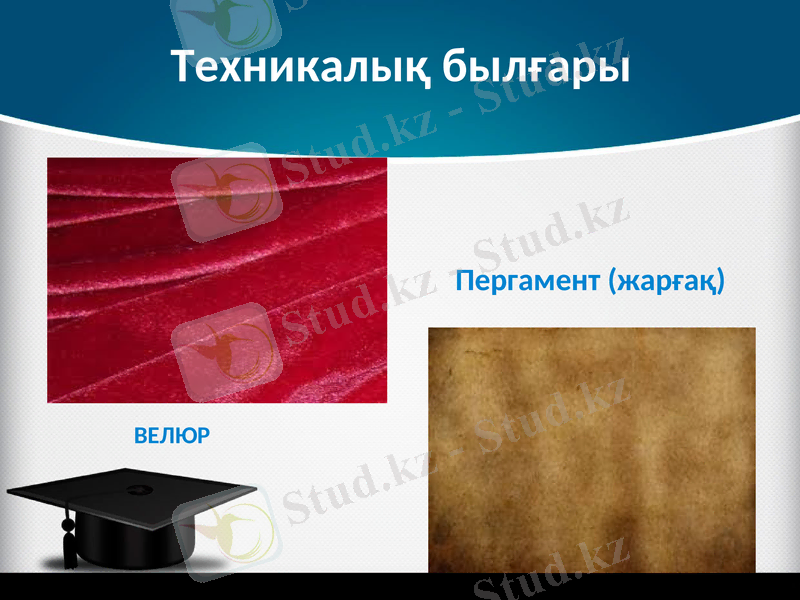 Slide 13