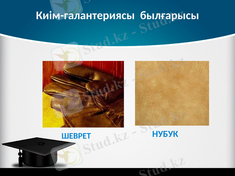 Slide 15