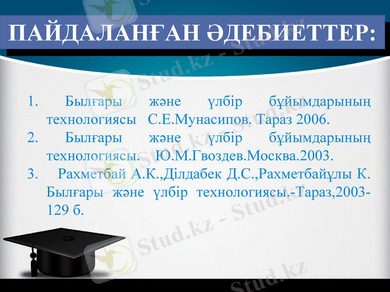 Slide 17