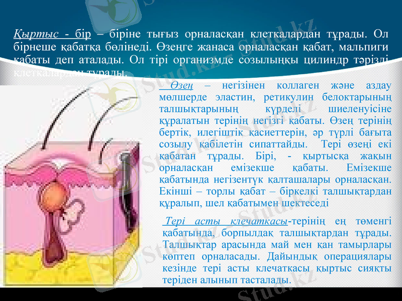 Slide 5